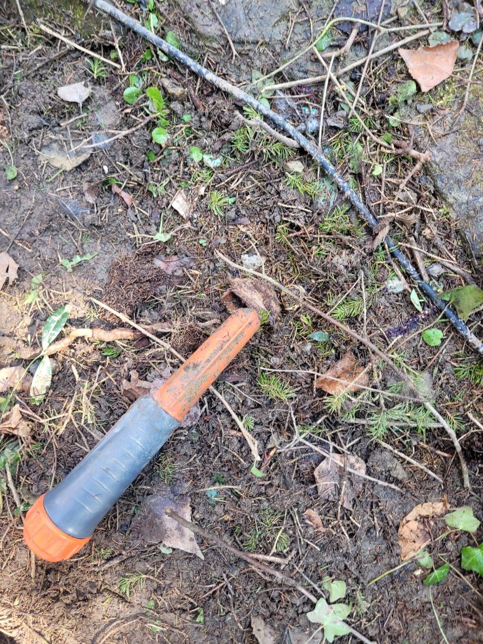 Zwei Mitglieder unseres Netzwerks im Garten, einer hält einen kleinen Ring zwischen den Fingern hoch.